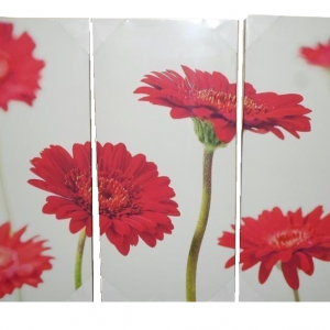 Red Gerbera Floral Canvas 3 Panel Wall Art