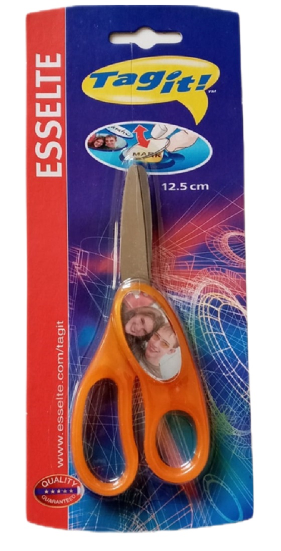 ESSELTE Tagit Craft Scissors - 12.5cm