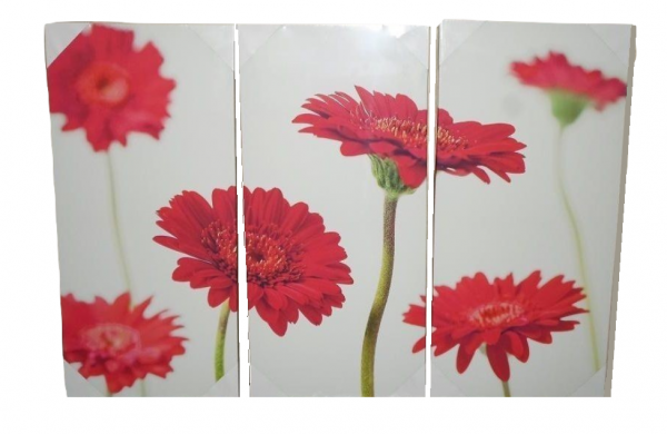 Red Gerbera Floral Canvas 3 Panel Wall Art